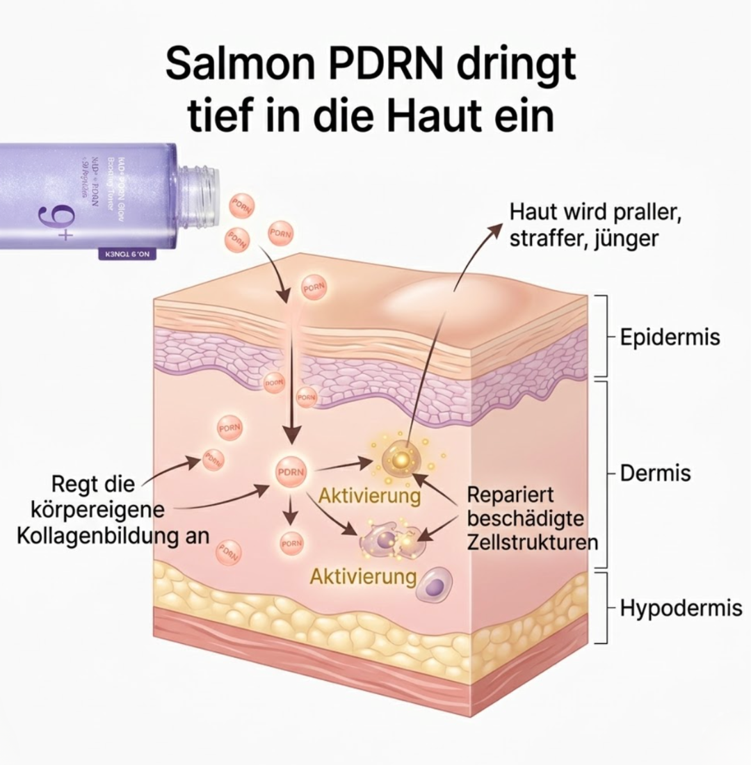 NAD+ PDRN Glow Boosting Toner